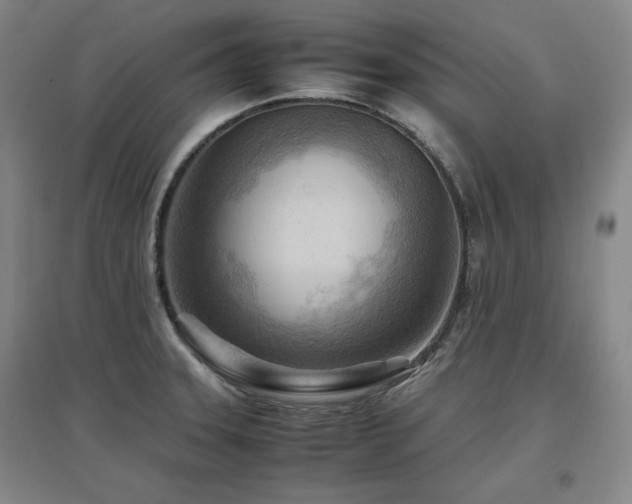 X0000097481331200802221343