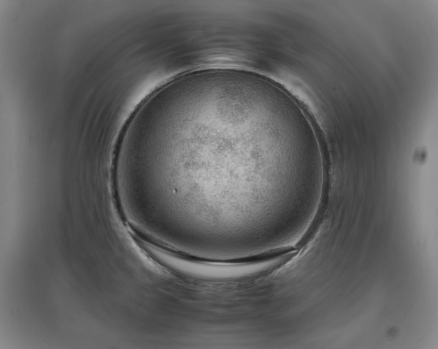 X0000097481333200802221343