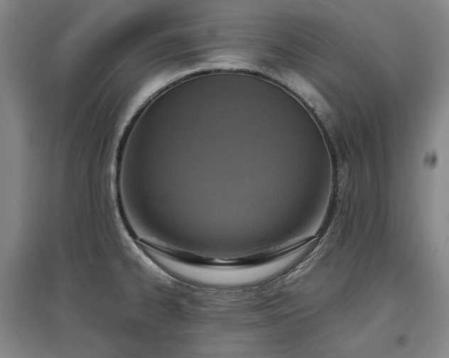X0000097481334200802221343
