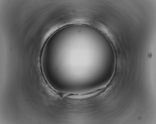 X0000097481336200802221343