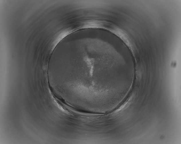 X0000097481337200802221343