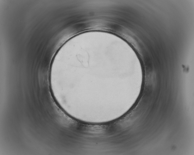 X0000097481338200802221343