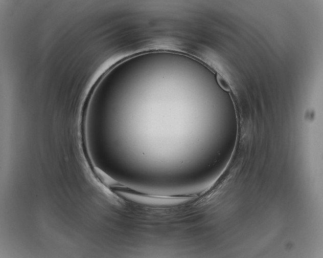X0000097481339200802221343