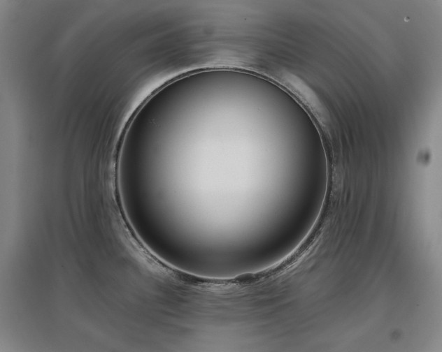 X0000097481340200802221343