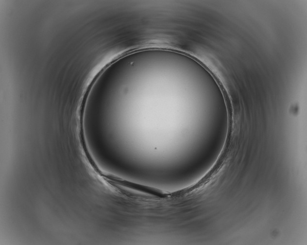 X0000097481341200802221343