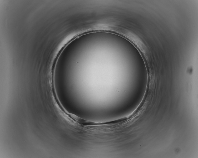 X0000097481342200802221343