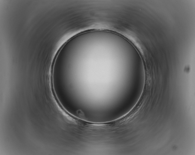 X0000097481343200802221343