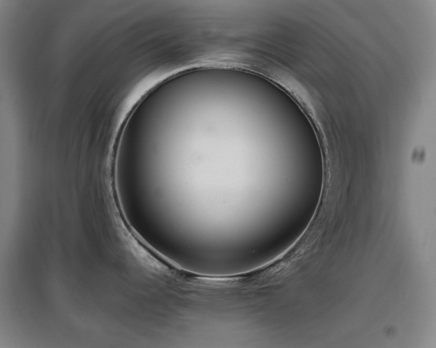 X0000097481344200802221343