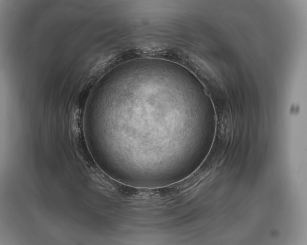 X0000097481346200802221343