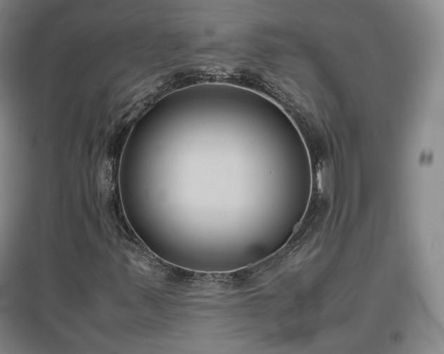 X0000097481347200802221343