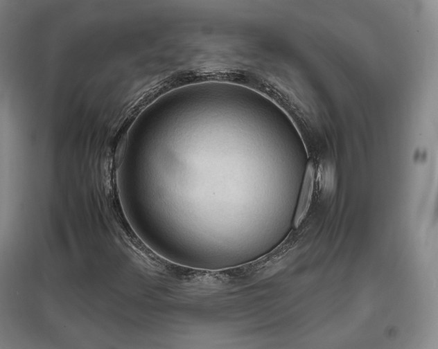 X0000097481348200802221343