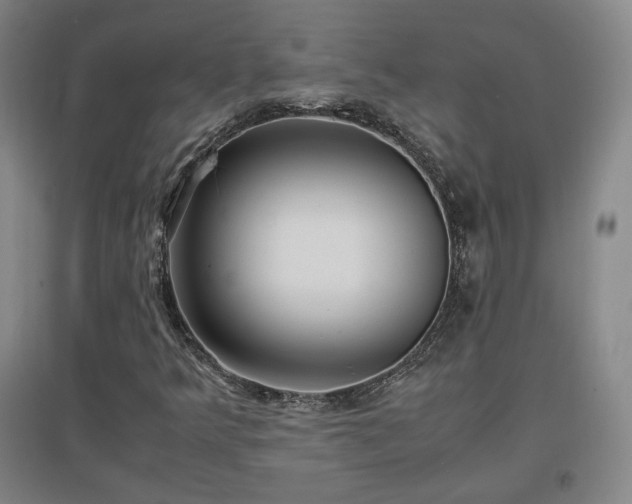 X0000097481349200802221343