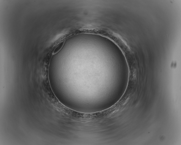 X0000097481350200802221342