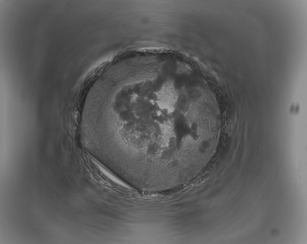 X0000097481351200802221342