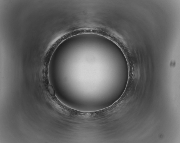 X0000097481352200802221342