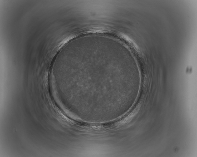X0000097481353200802221342