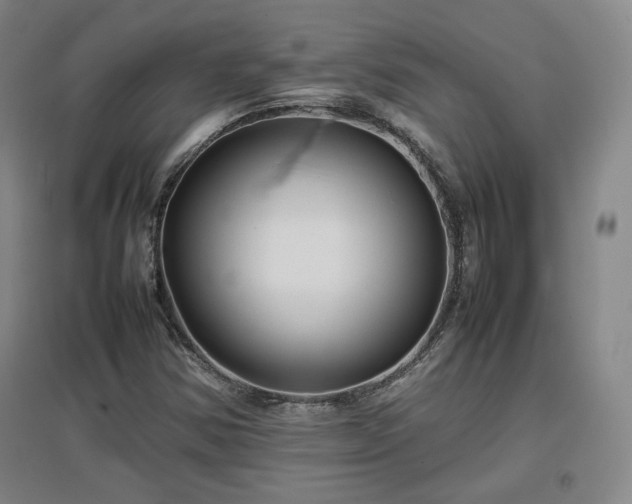 X0000097481354200802221342