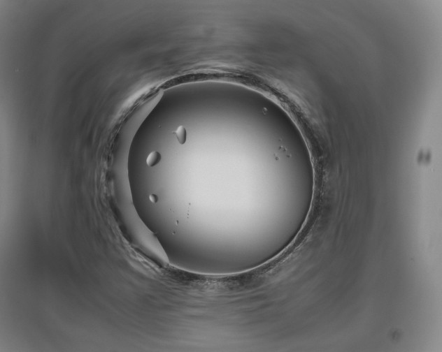 X0000097481355200802221342