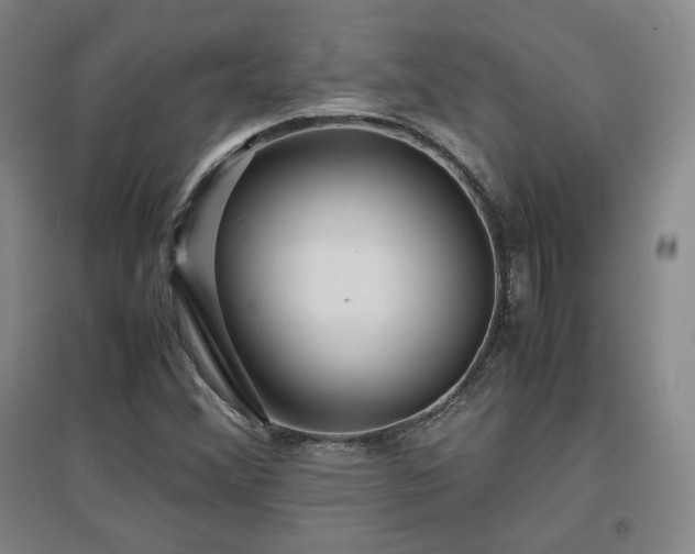 X0000097481356200802221342