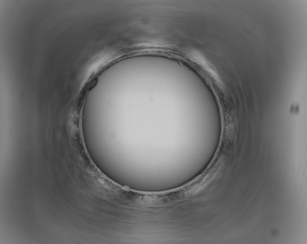 X0000097481357200802221342