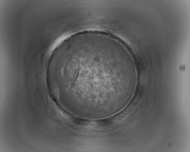 X0000097481359200802221342