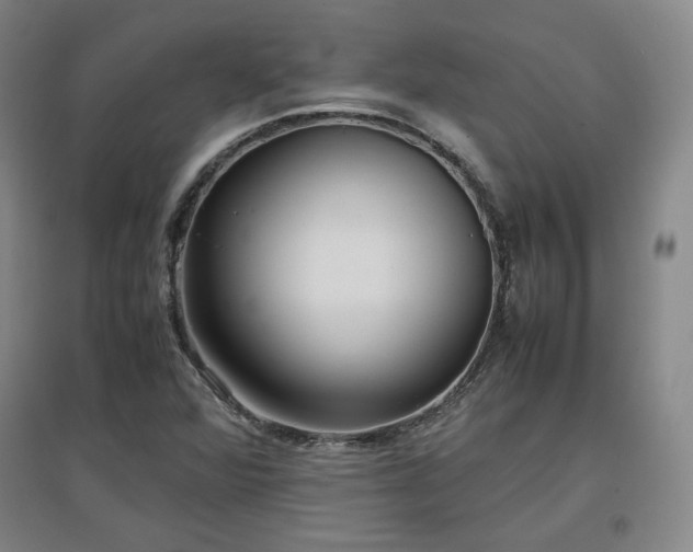 X0000097481360200802221342