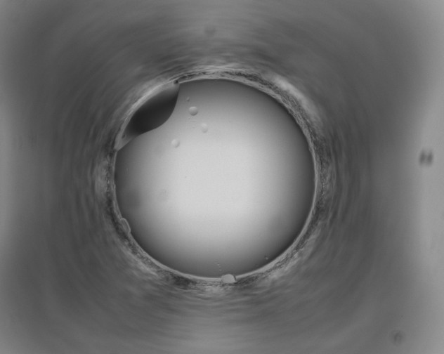 X0000097481361200802221342