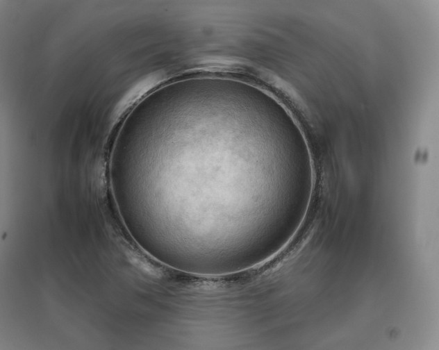 X0000097481362200802221342