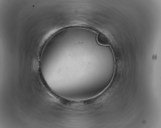 X0000097481363200802221342