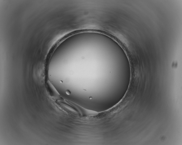 X0000097481364200802221342
