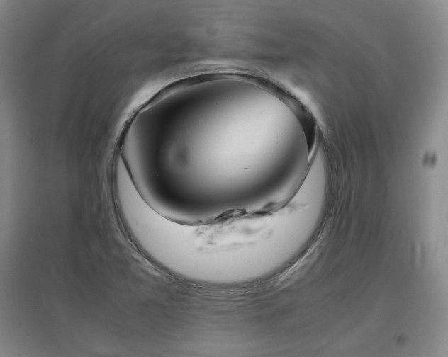 X0000097481365200802221342