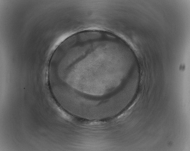 X0000097481367200802221342