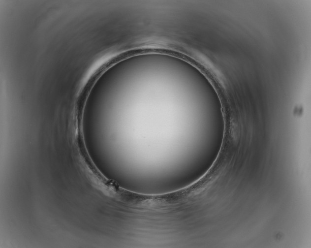 X0000097481368200802221342