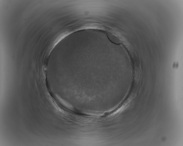 X0000097481369200802221342