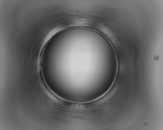 X0000097481370200802221342