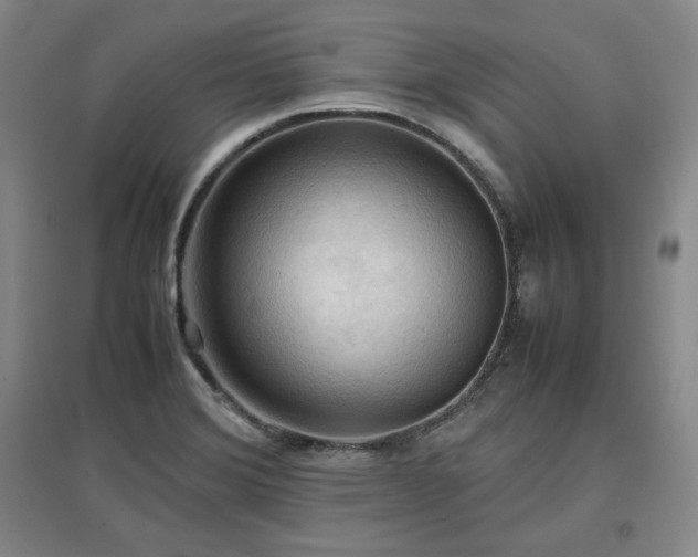 X0000097481372200802221342