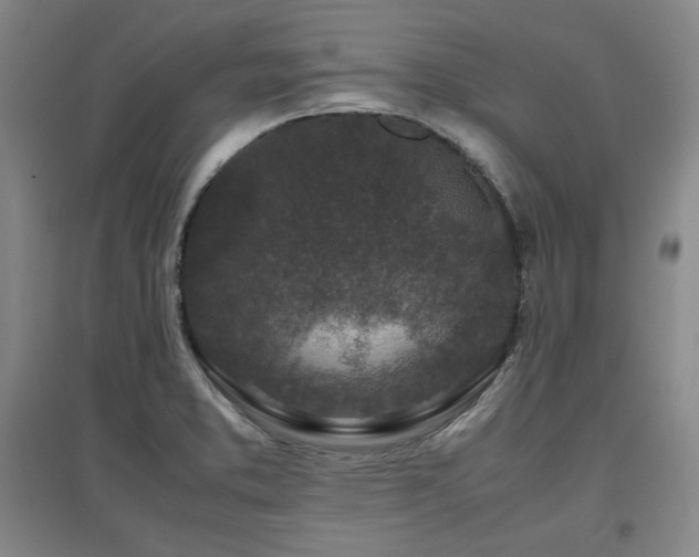 X0000097481373200802221342
