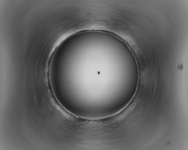 X0000097481374200802221342