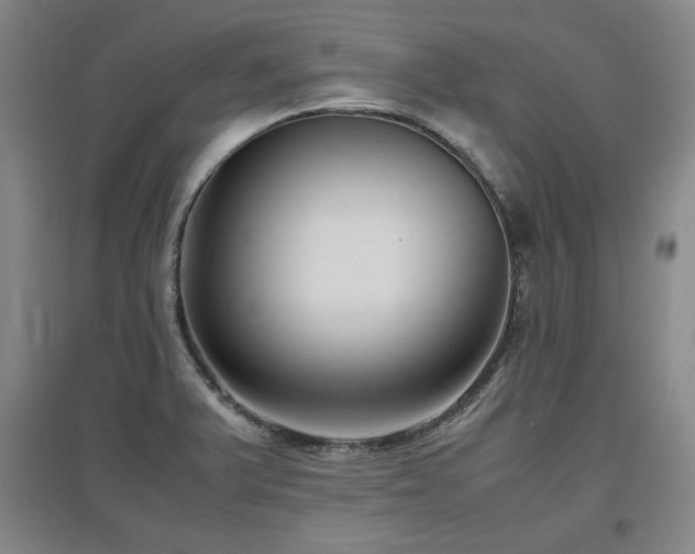 X0000097481375200802221342