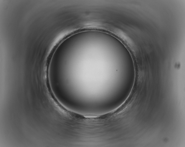 X0000097481376200802221342