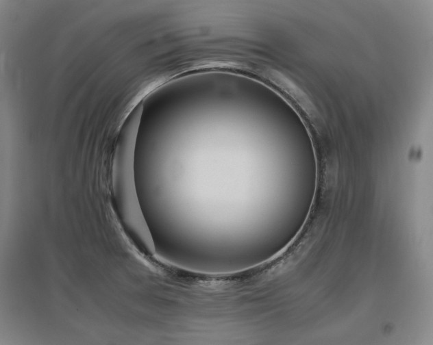 X0000097481377200802221342