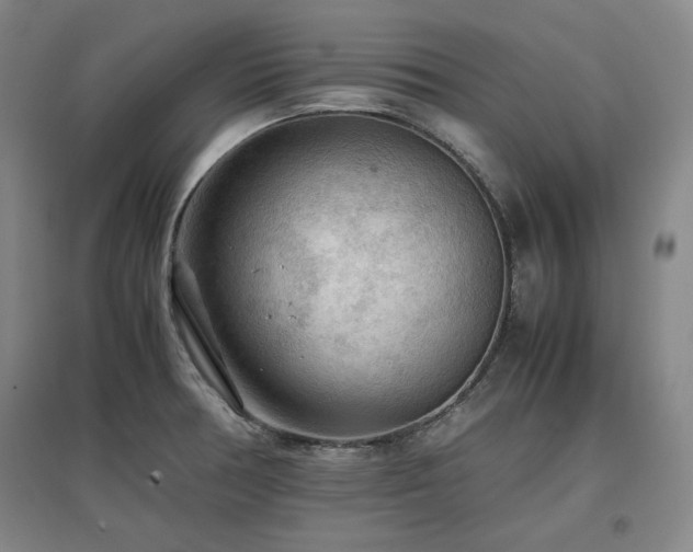 X0000097481378200802221342