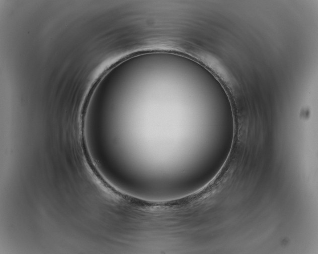 X0000097481380200802221342