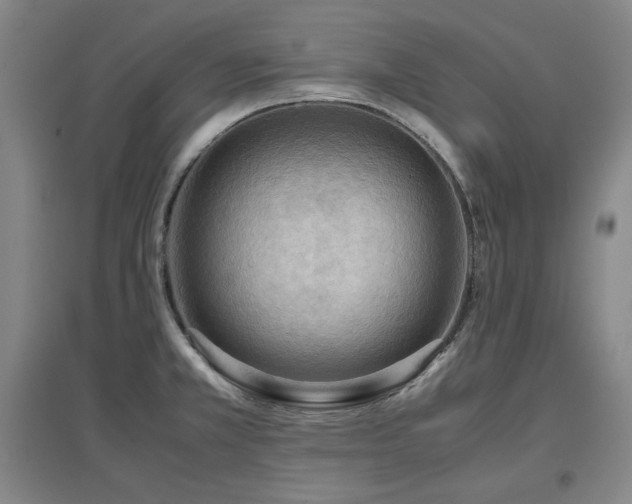X0000097481381200802221342