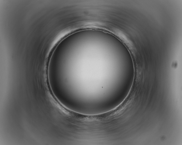 X0000097481384200802221342