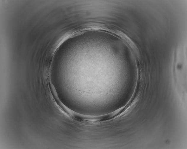 X0000097481385200802221342