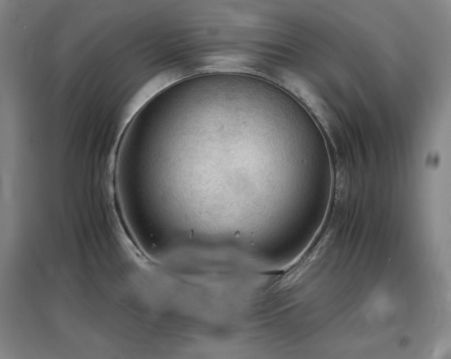 X0000097481386200802221342