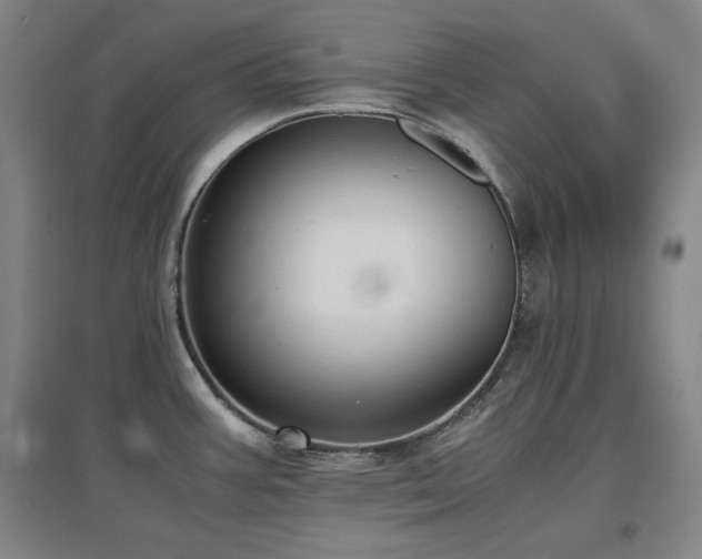X0000097481387200802221342