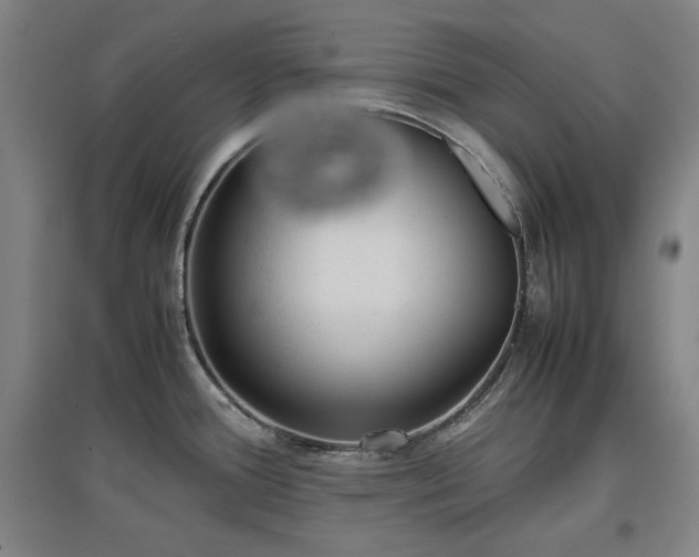 X0000097481388200802221342