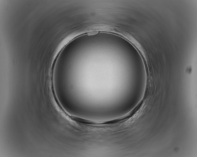 X0000097481389200802221342